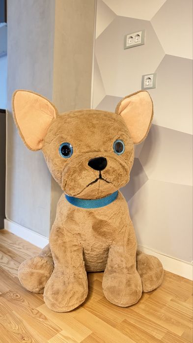 Vand usulet (Catel) de plus mare de 1 metru