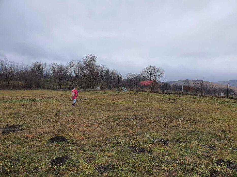 Teren deosebit 11.000 MP + LIVADĂ DE NUCI | Pârscov – Măgura, BUZĂU | Ideal pensiune / glamping