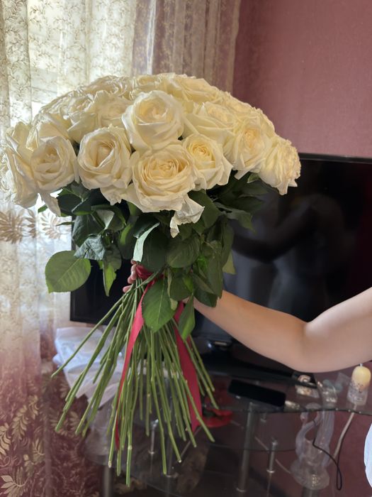 Голландские розы