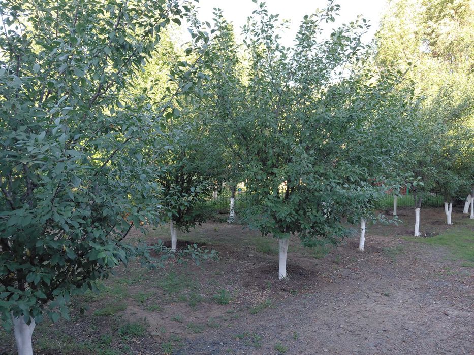 Продается частный дом