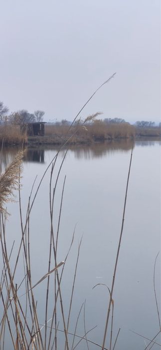 Рыбалка и дом с баней за городом