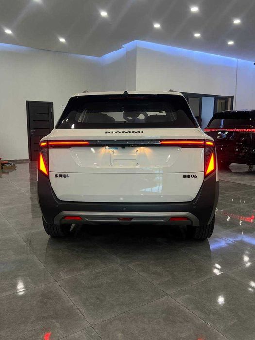 DONGFENG Nami 06 2026