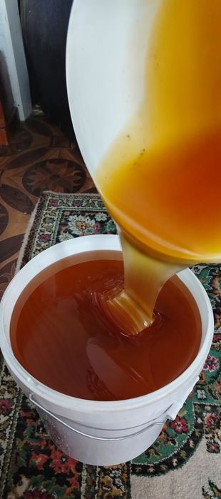 Продам мед свежий, мед.