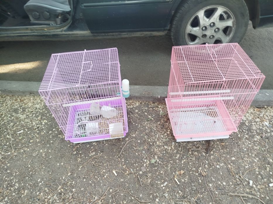 Клетки для папугаев