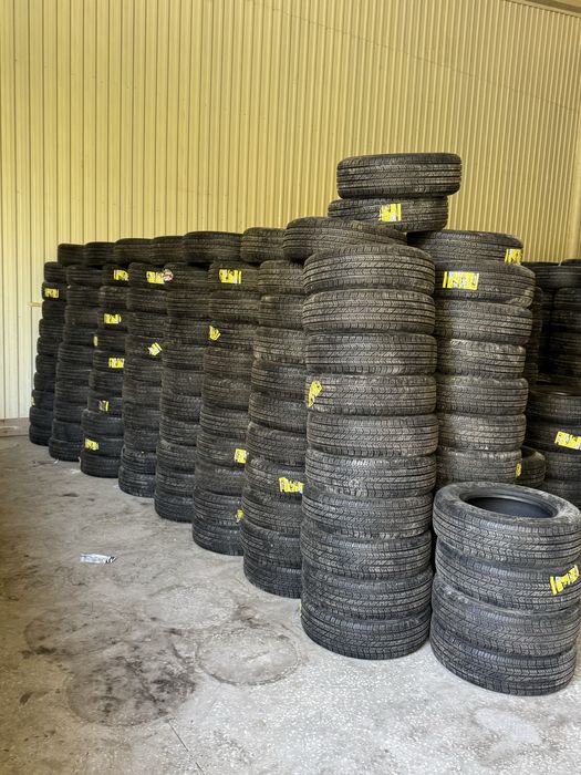 Avto shina Zitto Ravon