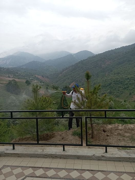 Bogʻbon sadovnik 12 -yillik agranom