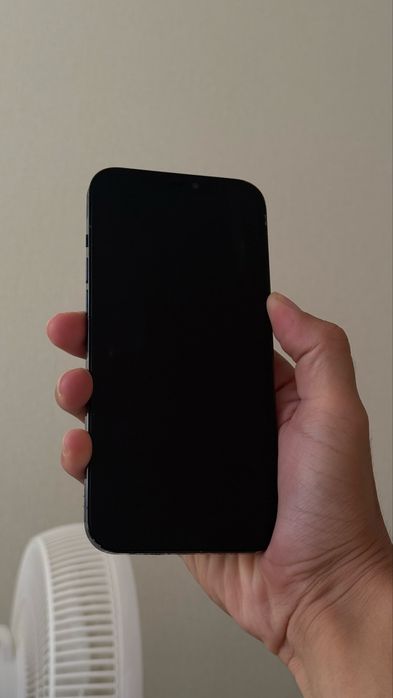 iPhone 12 Pro Max 256GB в хорошем состоянии