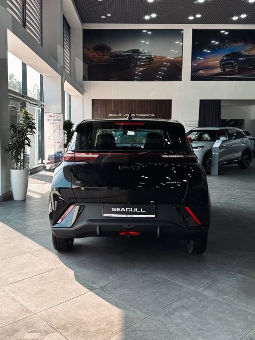 Byd Seagull garantiyasi bor