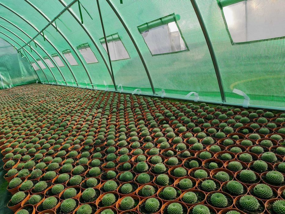 SOLAR  sera , TEAVA GALVANIZATA – Sistem de ancorare pamant inclus!