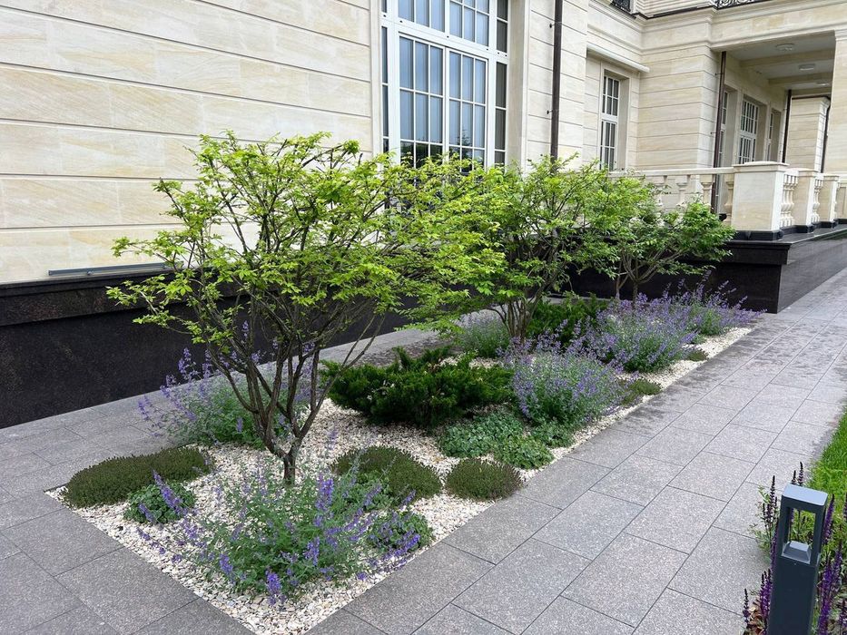 Озеленение | газон | автополив