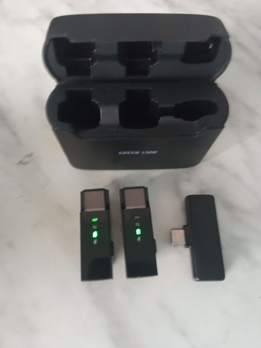 Wireless  Green lion