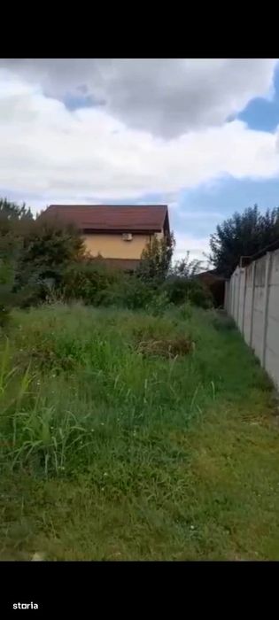 Berceni Dumbrava Rosie