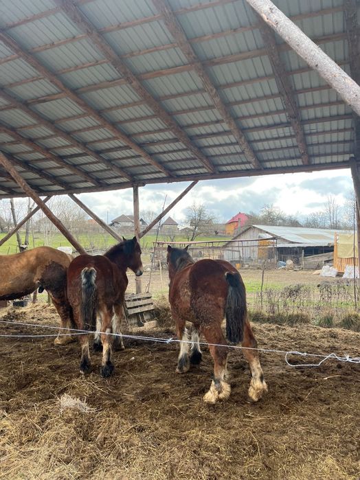 Sănătate garantată
