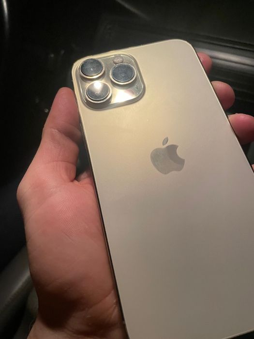Iphone 13 Pro Max 256GB