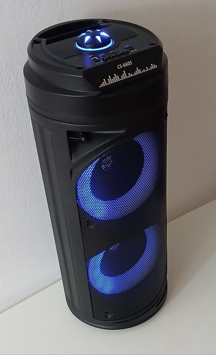 Boxa Portabila (cu Microfon)