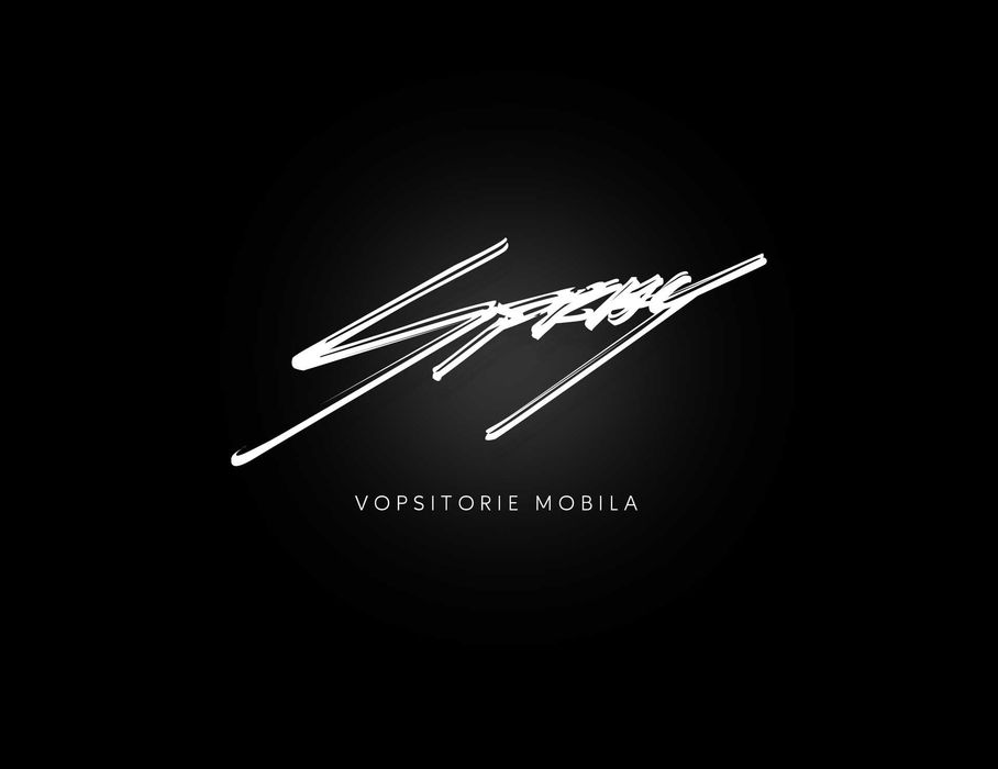 Vopsitorie la Domiciliu