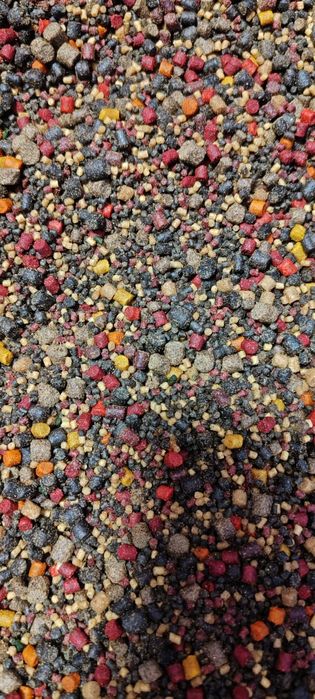 Bag-uri pescuit Crap