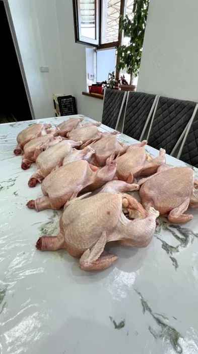 Домашние Курица проадется Мясо