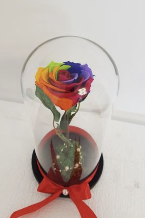 Cadou criogenat in cupola de sticla