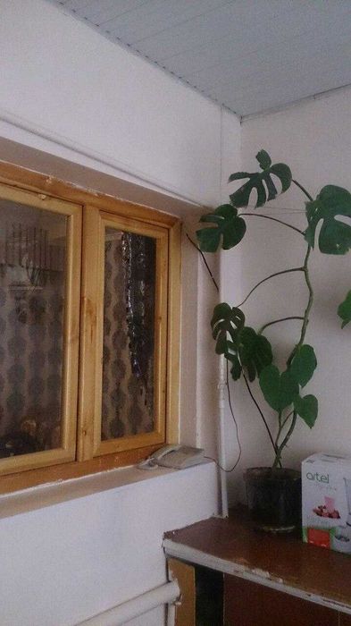 Продажа одноэтажной квартиры в М. Улугбекском районе!