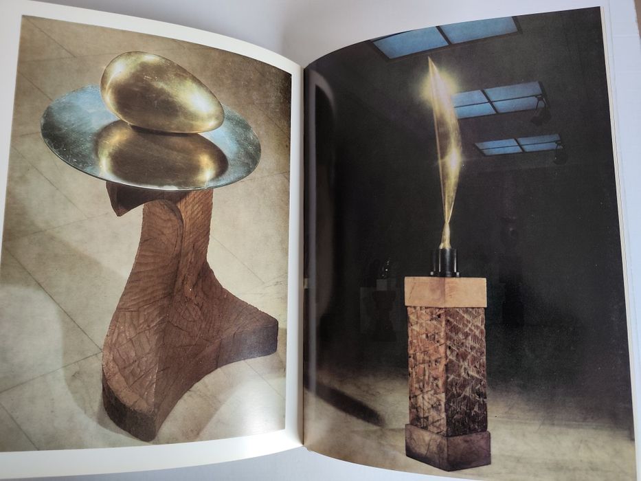 Constantin Brâncuși – Petre Oprea (1976).  Album Artă rar format mare
