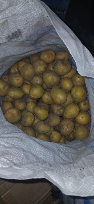 своя вкусная картошка