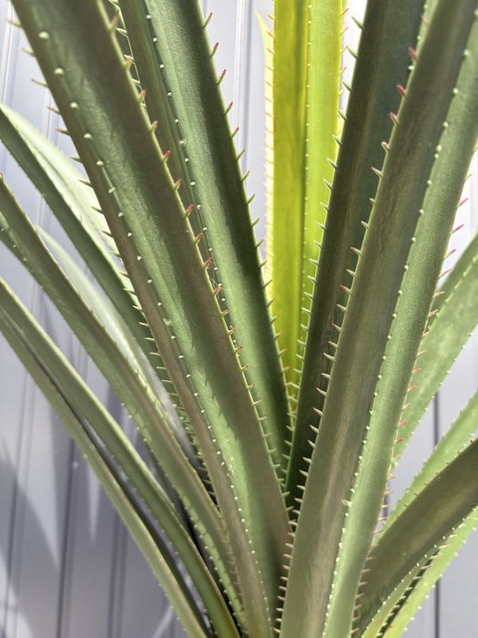 Planta artificiala yucca