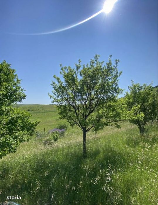 Vindem 2 parcele de intravilan in zona Triajului Sannicoara - Apahida