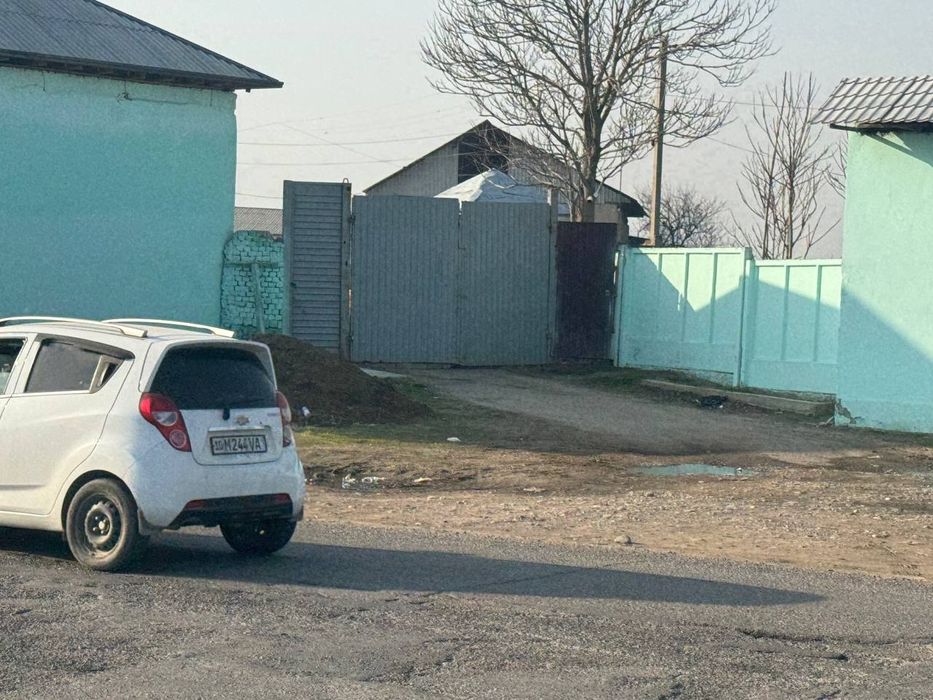 Ferma 1 gektar chinoz tumani