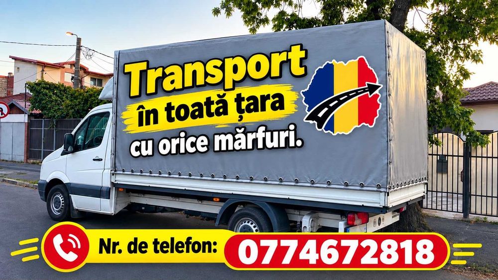 Servicii transport