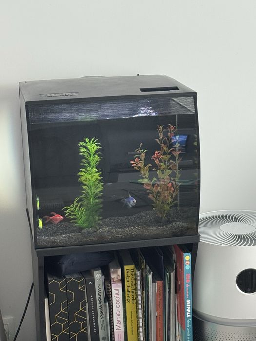 Acvariu 60L Fluval