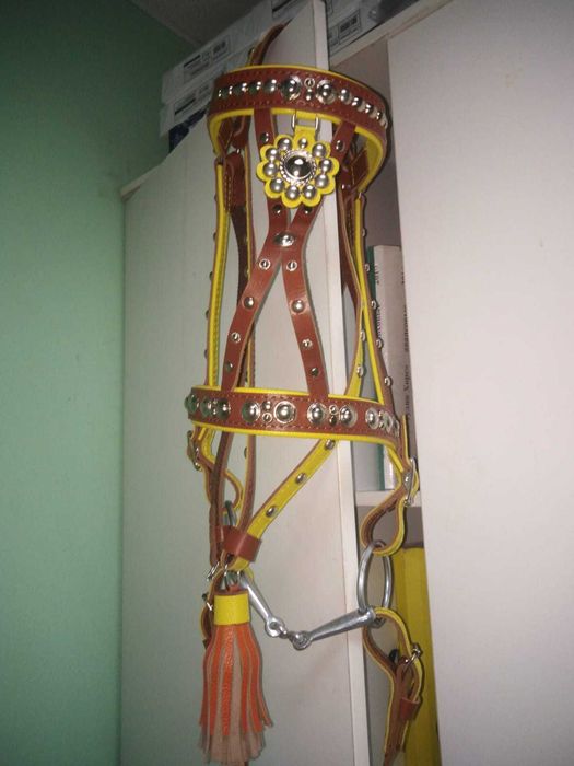 Узда парадная для лошади