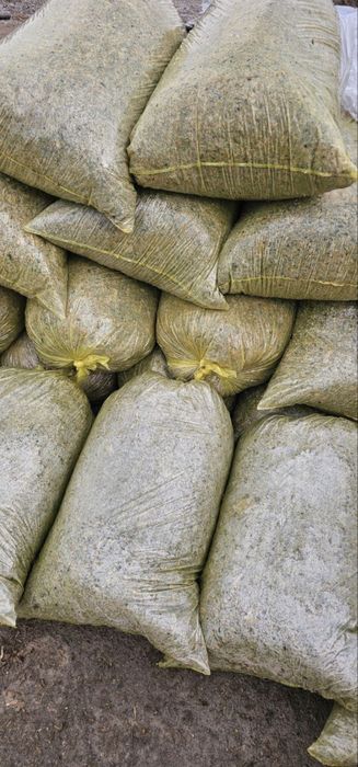 Селос сифати аьло