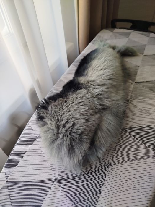 Песцовый воротник.