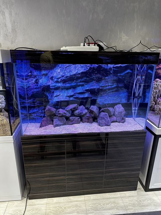 Aquashop аквариумы премиум класса
