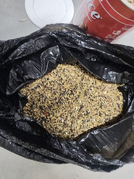 Канарче и 3бр. клетки