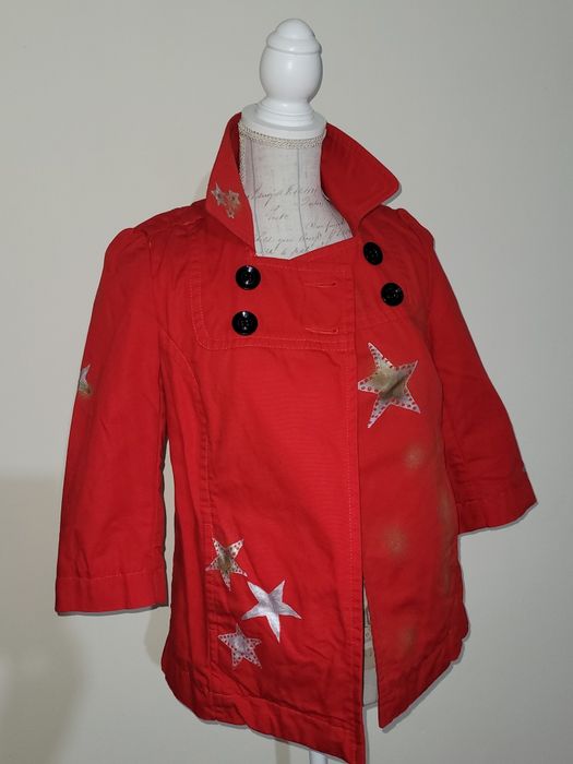 Hainuta pictata manual