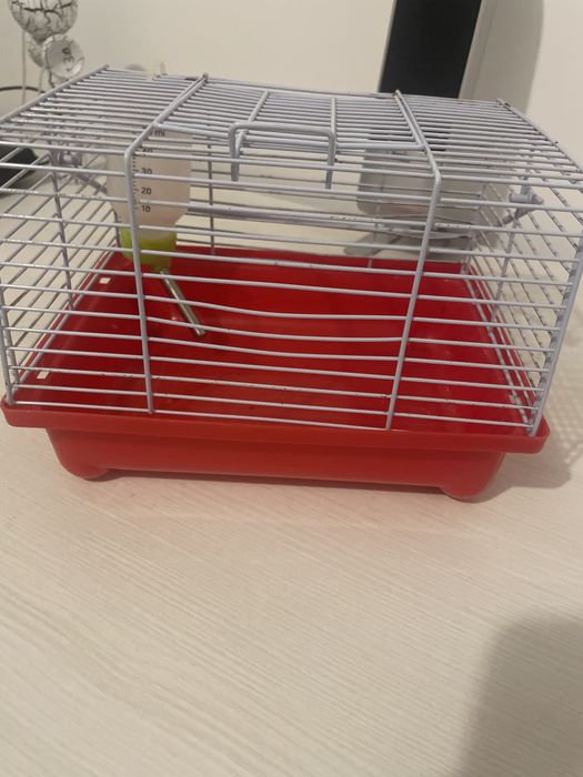 Cusca hamster noua