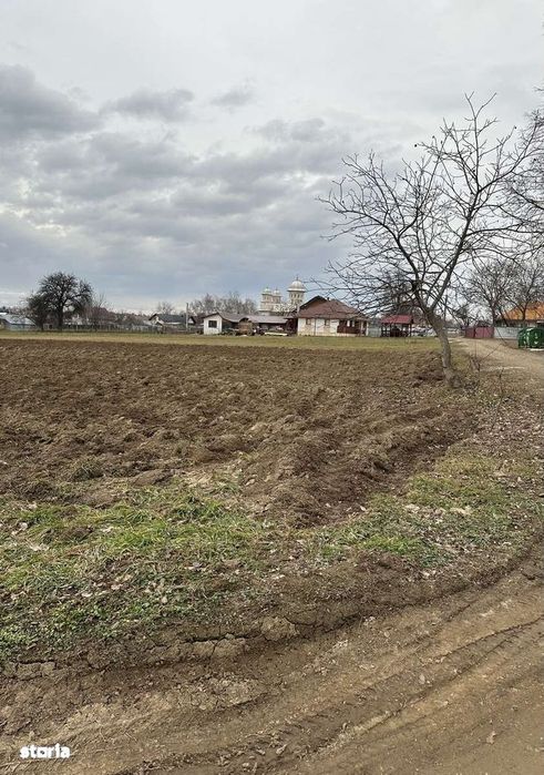 Teren intravilan în Mitocași 67500 euro