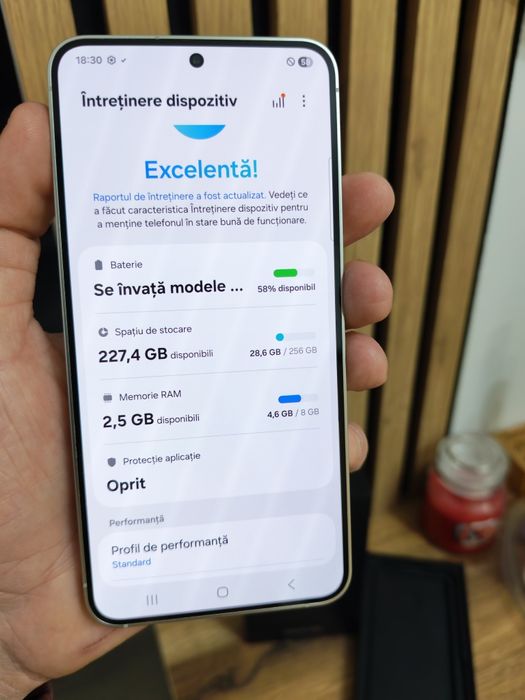 Samsu g galaxy S24 256 GB Garantie
