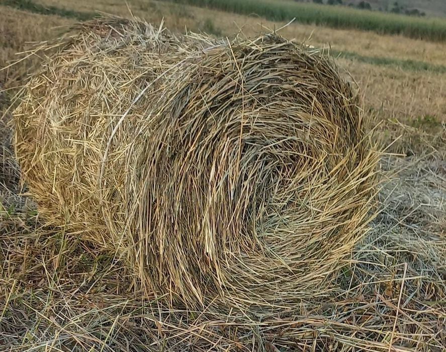 Продам или поменяю