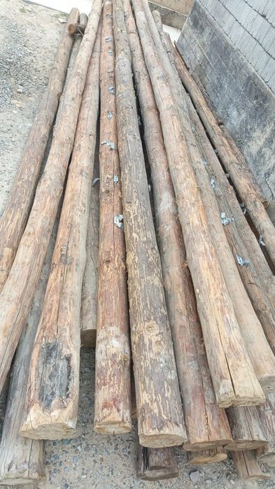 Кругляк бу сатылады