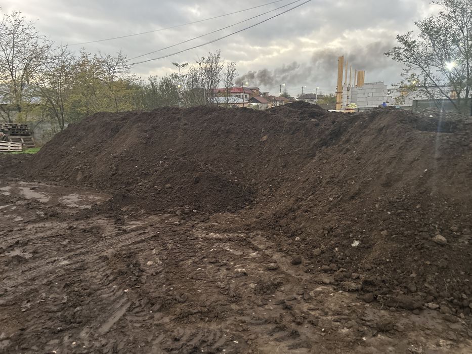 Mranita maturata ptr solarii sere familiale rasaduri