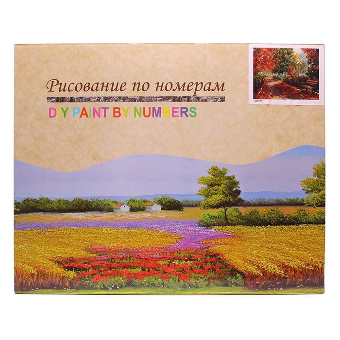 Картина за рисуване по номера 50х40