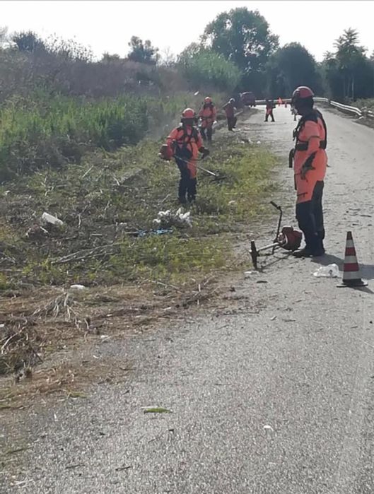 Curatarea defrisare terenuri lasate in paragina
