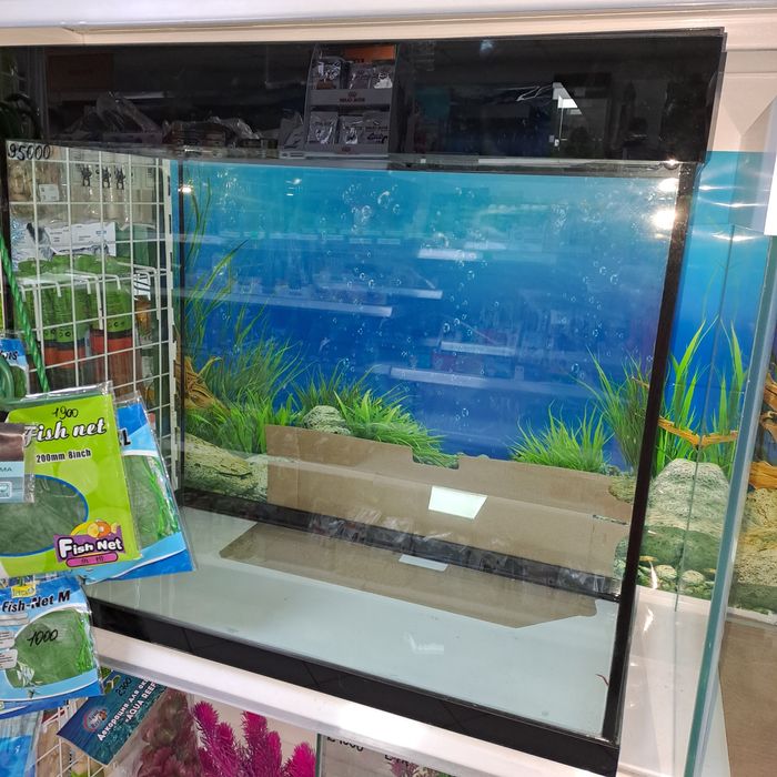 Аквариумистика аквариумы