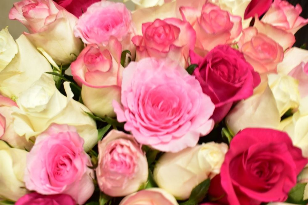 51роза 20мыңға алынған новый