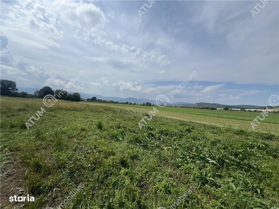 Teren intravilan de 8600 mp cu deschidere la doua drumuri in Cristian