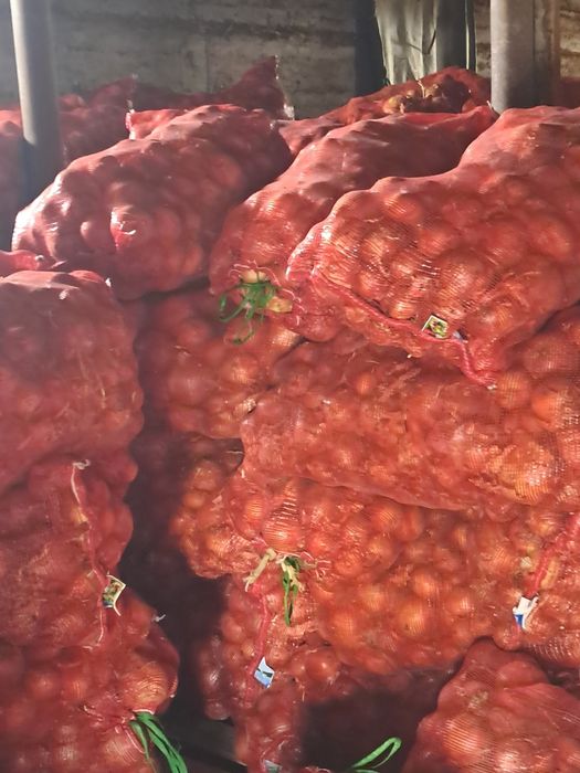 Лук продается мешками