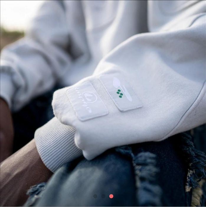 Суитчър Passtell "Asteroid" & "Moon"